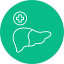 Hepatobiliary Surgery 