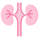 Pediatric Nephrologist